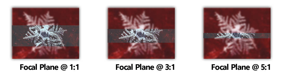 Focus Stack Example