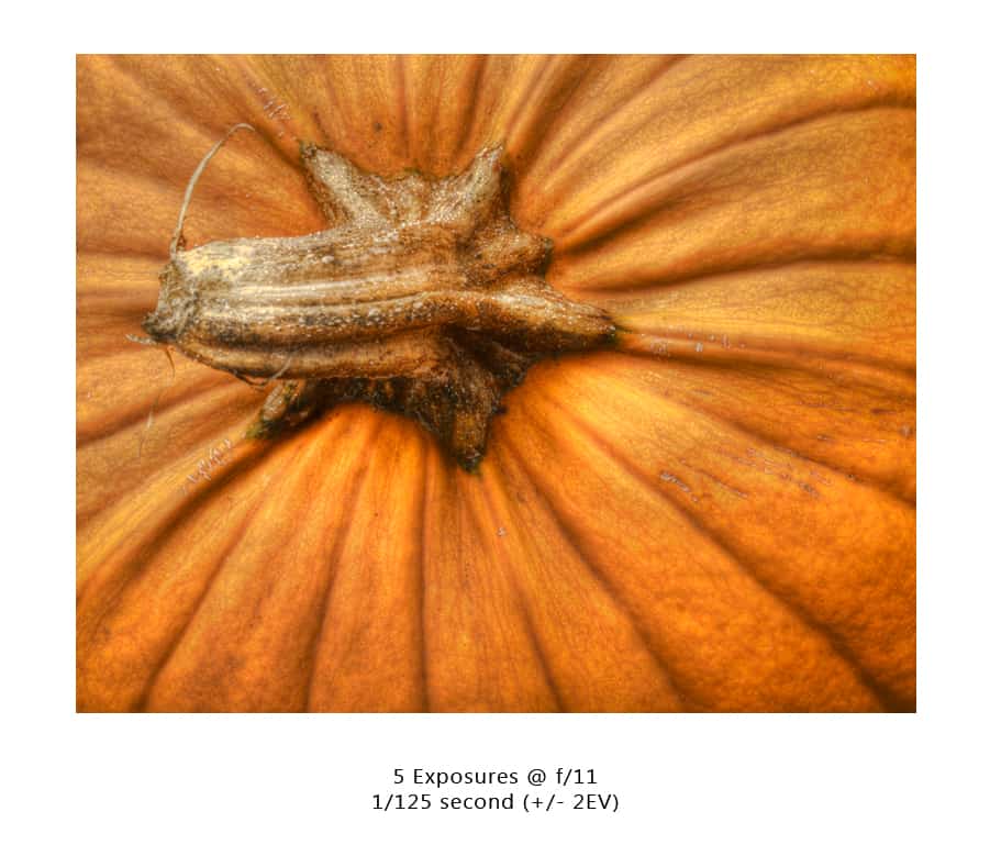 HDR goes to the HMB Pumpkin Festival