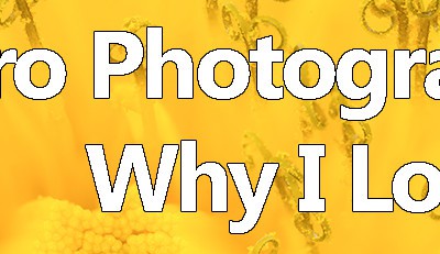 Macro Photography and Why I Love It!