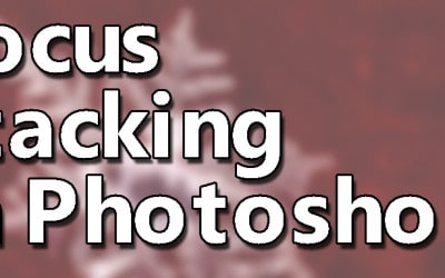 Focus Stacking in Photoshop