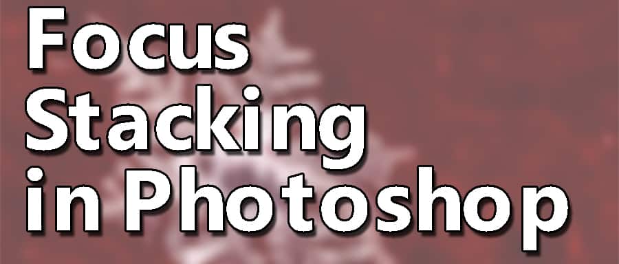 Focus Stacking in Photoshop