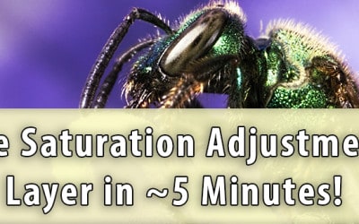 Saturation Adjustment Layer in Photoshop