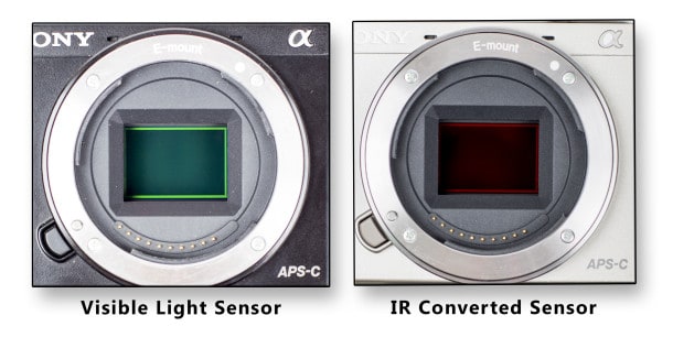 Infrared Photography Experimentation - f64 Academy