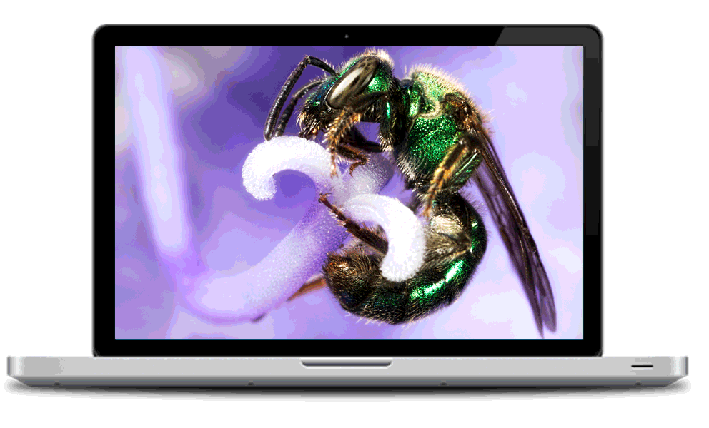 photoshop convert video to gif photoshop convert video to gif