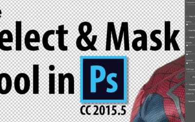 How to use the Select and Mask Tool in Photoshop