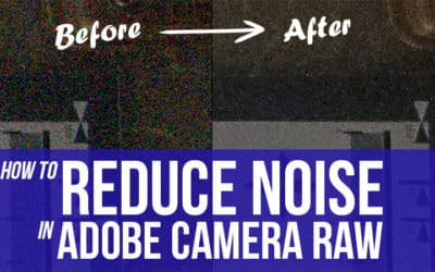 How to Reduce Noise in Adobe Camera Raw