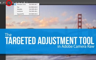 How To Use The Targeted Adjustment Tool