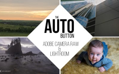 The Auto Button in ACR and Lightroom