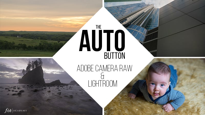 The Auto Button in ACR and Lightroom