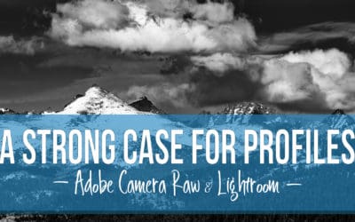 A Strong Case for Profiles for Adobe Camera Raw and Lightroom