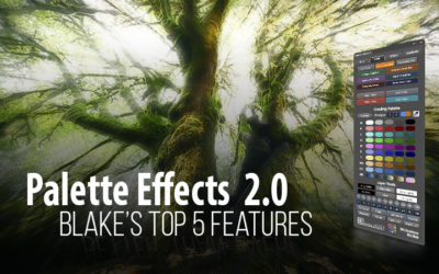 Palette Effects 2.0 Top 5 Features