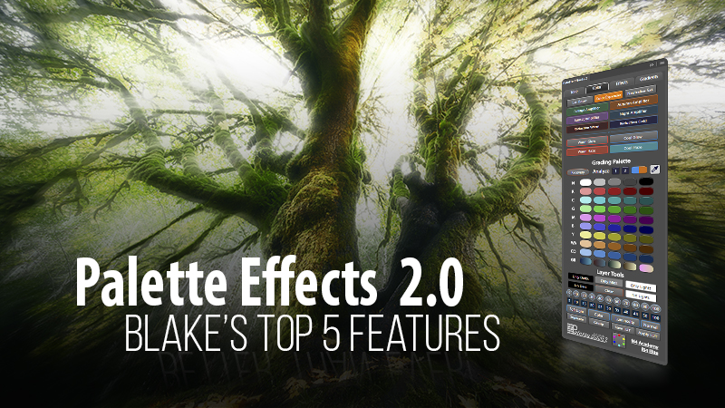 Palette Effects 2.0 Top 5 Features