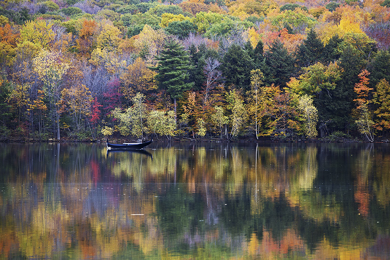 Fall Photography Before