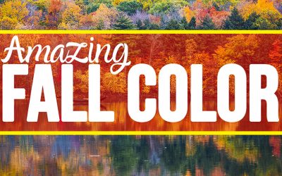 Amazing Color for Fall Photography Tips