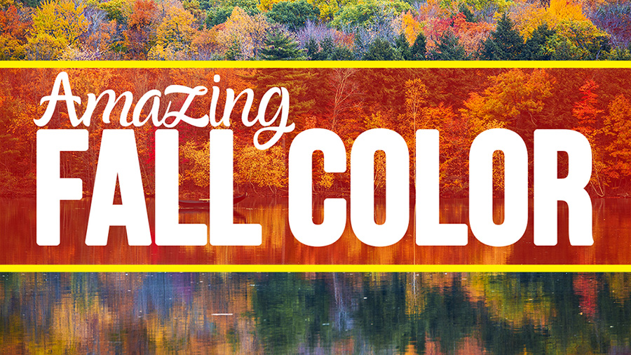 Amazing Color for Fall Photography Tips