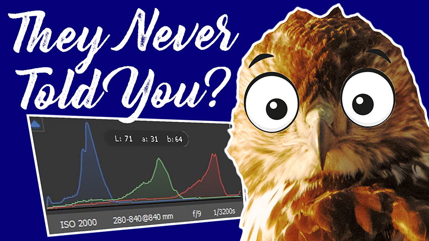 The Histogram: 3 Things you may not know about it.