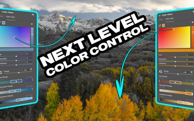 Next-Level Color Control ACR 16.0 & Lr 13.0