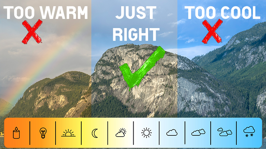 Your camera is LYING to you 😡 White Balance Explained