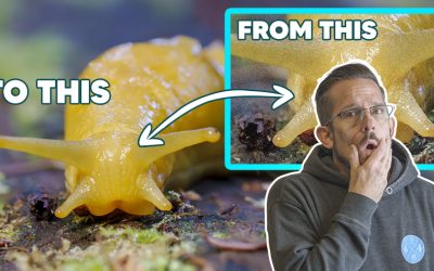 High ISO?  Who Cares!