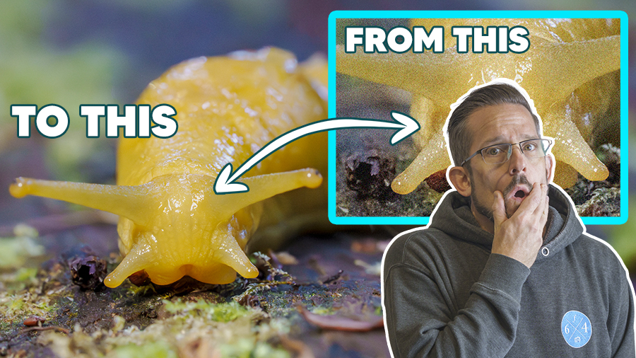 High ISO?  Who Cares!