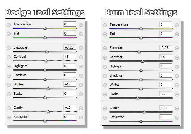 Dodging and Burning Adjustment Brush Settings