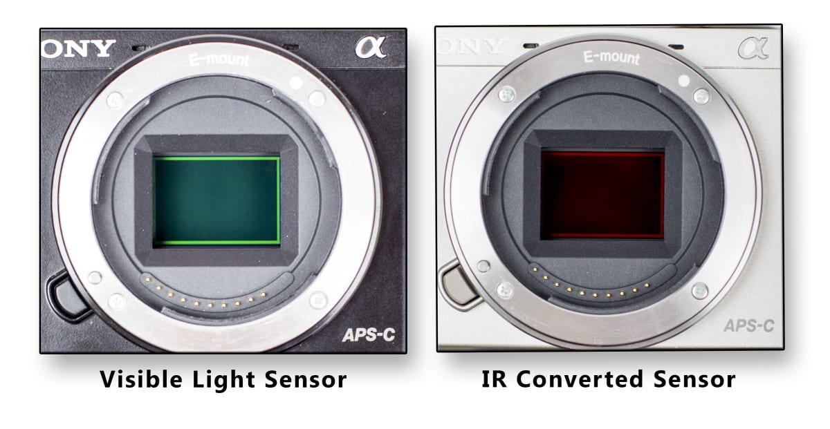 The Twins Sensors Infrared Photography