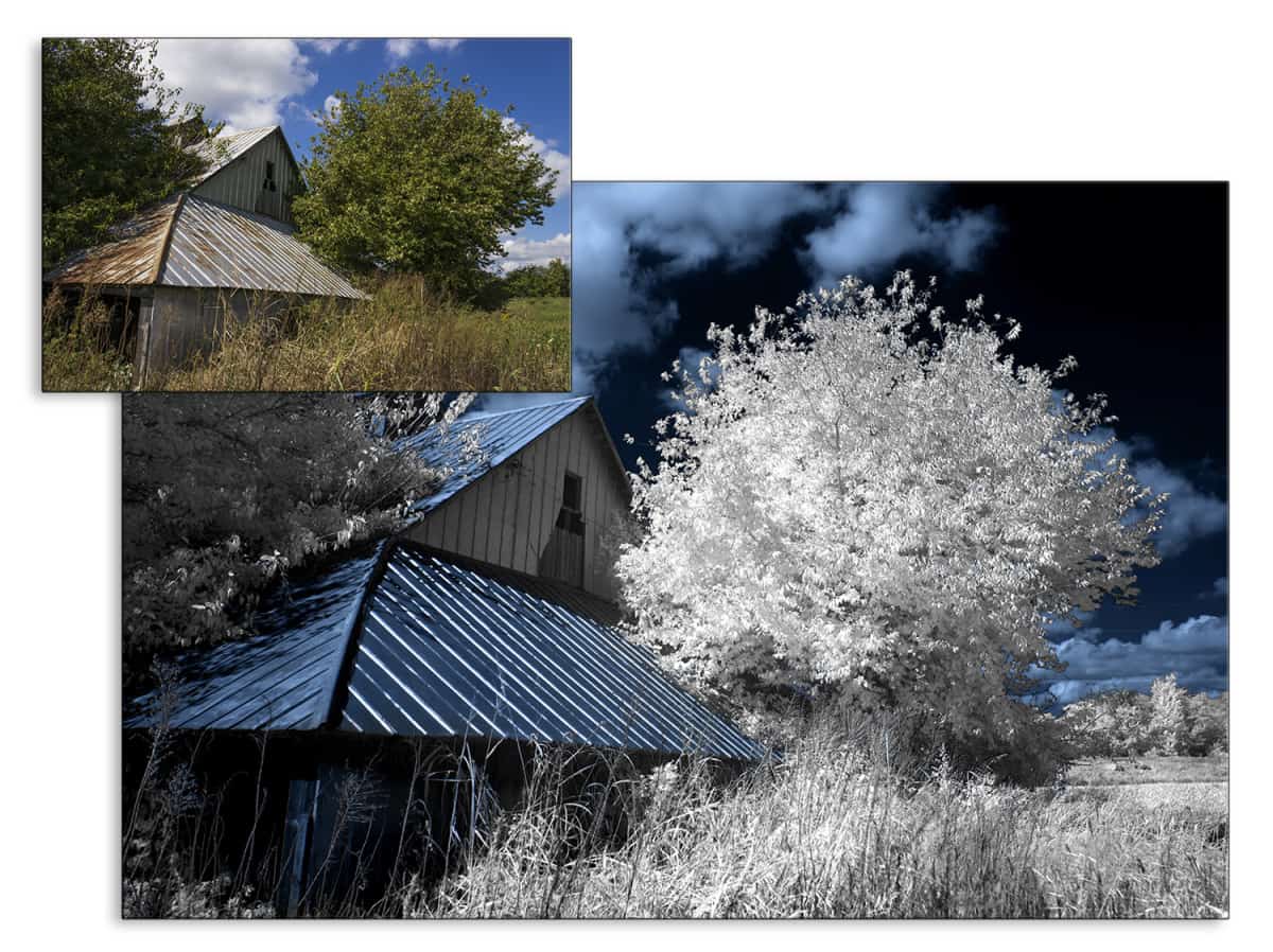 a6000 Infrared Photography Comparison